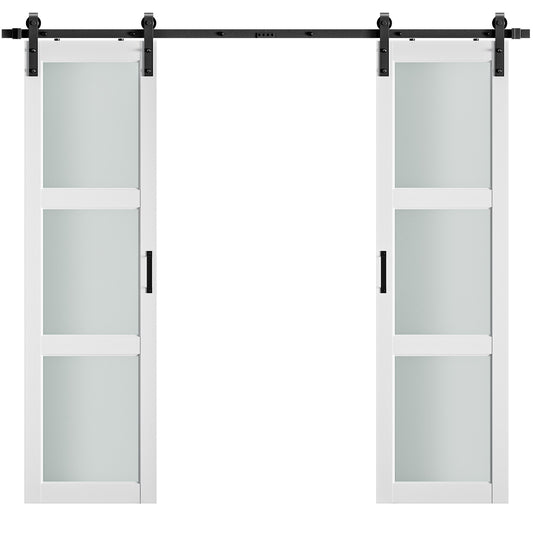 3-Lite Glass Paneled Double Sliding Barn Doors（复制）